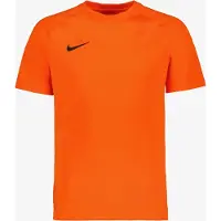 Nike Shirt Dri-FIT Park VIII SS Hommes