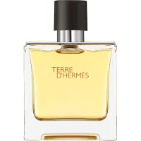 Hermès Paris Eau de parfum terre d'Hermès 75 ml