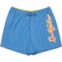 Quiksilver Everyday Malibu Volley 15´´ Swimming Shorts Bleu L Homme
