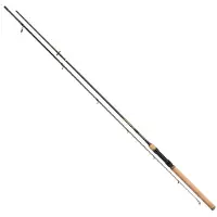 Mikado Intro Ii Spinning Rod Doré 2.70 m / 40 g