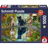 Schmidt Spiele Dream Big !, puzzle pour adultes, puzzle, à partir de 12 ans, 1000 pièces, 57392