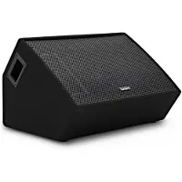 SubZero C15M Passive Stage Monitor