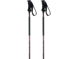 Elan Ripstick Rod W Poles Vert 115 cm