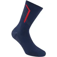 La Sportiva Flow Trail Long Socks Bleu EU 41-43