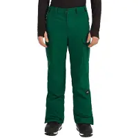 O'Neill Fwc Peak Cargo Pants Vert M Homme