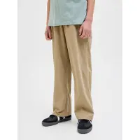 Jack & Jones Junior Pantalon 'JPSTAlex' camel