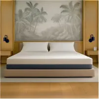11.11 SRLS Boreal | Matelas Simple 90x200 en Mousse à Mémoire et Waterfoam | Hauteur 22 cm | Matelas Orthopédique, Antiallergique et Anti-acariens | Dispositif Médical Classe 1 | Déhoussable et Respirant