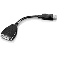 Lenovo Adaptateur DisplayPort (20 cm), Adaptateur données + vidéo, Noir