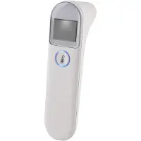 Grundig 248653 Thermometer Clair