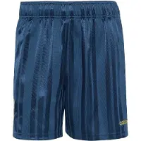Adidas Argentina Afa Eqt Shorts Bleu S Homme