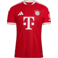 Adidas Maillot 'FC Bayern München 26/27 Authentic' rouge / bordeaux / blanc
