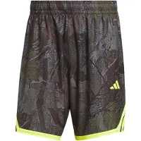 Adidas Pantalon de sport jaune / taupe / sapin / noir