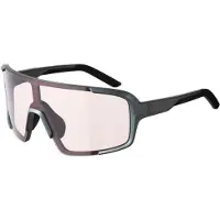 Alpina Lunettes de soleil Alpina Lumin Gun - Métal mat/rose