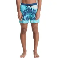 Quiksilver Everyday Printed Volley 15´´ Swimming Shorts Bleu 2XL Homme