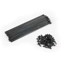 Eclat Pg Spokes And Nipples Kit 40 Units Noir 190 mm