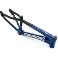 Stay Strong For Life V5 2025 Bmx Frame Bleu Cruiser Pro 2XL