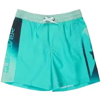 Quiksilver Everyday Holmes Volley 16´´ Swimming Shorts Vert 10 Years Garçon