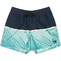 Quiksilver Everyday Poolsider 15´´ Swimming Shorts Bleu S Homme