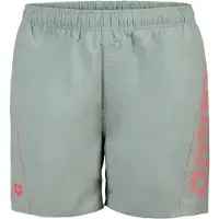 Arena Short de bain Fundamentals Logo R