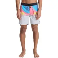 Quiksilver Everyday Half Jam 16´´ Swimming Shorts Multicolore 31 Homme