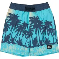 Quiksilver Everyday Printed Volley 13´´ Swimming Shorts Bleu 4 Years Garçon