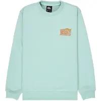 Quiksilver Graphic Youth Sweatshirt Vert 16 Years Garçon