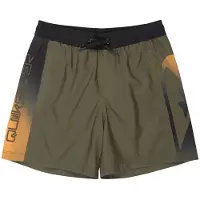 Quiksilver Everyday Holmes Volley 16´´ Swimming Shorts Vert 10 Years Garçon