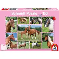 Schmidt Jeux Rêves de chevaux