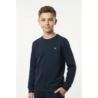 Napapijri Sweat 'Balis C 2' marine