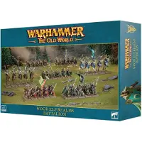 Games Workshop Warhammer ToW - Royaumes Elfes Sylvains : Bataillon (Matières plastiques)