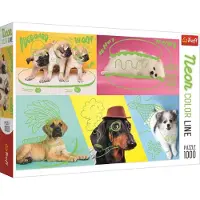 Trefl Puzzle Chien Relax/1000 pièces Couleur Néon