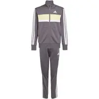 Adidas Survêtement 'Seasonal Essentials Tiberio' jaune pastel / taupe / blanc