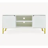 En.casa Meuble TV « Reyri » avec 2 portes et 2 étagères ouvertes, 120 x 39 x 52 cm, structure métallique, blanc/doré
