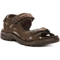 Ecco Chaussures 06956412559