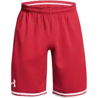 Under Armour Pantalon de sport '1383392-600' rouge