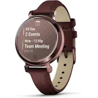 Garmin - 010-02839-03 - Lily 2 Dark Bronze avec bracelet en cuir acajou