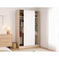 Dmora Alyson - Armoire 2 Portes, 120x204h cm Blanc Brillant, Penderie