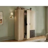 Dmora Apaches - Armoire 3 Portes, 121x52 cm Chêne Marron, Portemanteau
