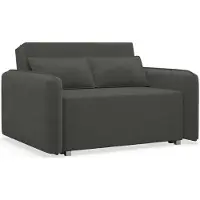 Selsey Duelia - Canapé-lit 2 places avec coffre, chenille hydrophobe, gris graphite