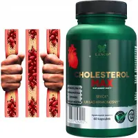 Lanco Nutritions Cholestrol Max 60 Kapseln