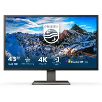 Philips P-line 439P1 - Écran LED - 43" (42.51" visualisable) - 3840 x 2160 4K @ 60 Hz - VA - 400 cd/m² - 4000:1 - DisplayHDR 400 - 4 ms - 3xHDMI. DisplayPort. USB-C - haut-parleurs - texture noire