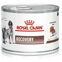 Royal Canin Vet dog/cat recovery 24x195 g mokra karma dla psów i kotów w okresie intensywnej terapii i po zabiegach chirurgicznych, w okresie rekonwalescencji