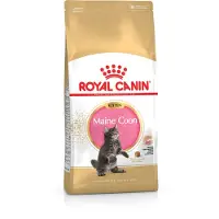 Royal Canin Maine Coon Kitten - aliments secs pour chatons - 4 kg