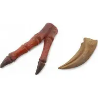 Collecta Set cadeau - Préhistoire