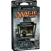 Wizards of the Coast Magic : The Gathering Totem Power Intro Pack