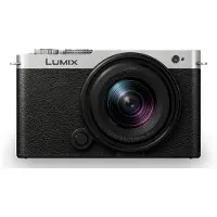 Panasonic Appareil photo compact Lumix S9 Noir et Argent + Objectif Optique Lumix S 18-40mm F4.5-6.3