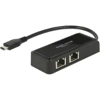 DeLOCK Carte réseau USB3.1 type-C - 2x RJ45, 27cm (USB 3.1 Gen 1, USB-C, RJ45 Gigabit Ethernet (2x)), Adaptateur réseau, Noir
