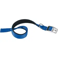 Ferplast Nylon Daytona 3x3.4 Cm Dog Collar Bleu 30-55 cm