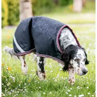 Horseware Amigo Ripstop Dog Rug 100g Navy HW Print/Burgandy & White Hundedecke, Größe:Small