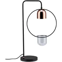 Paulmann Fanja de Neordic (GU10)